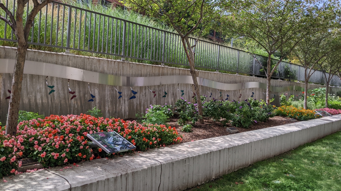 Butterfly Tribute Wall in Summer outside the children's and women's hospitals.